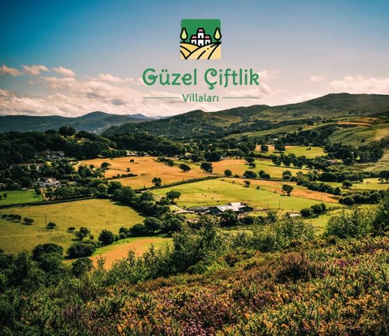Açık Arttırma İlanı